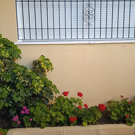 Playa Y Piscina Perla 2 Estudio *